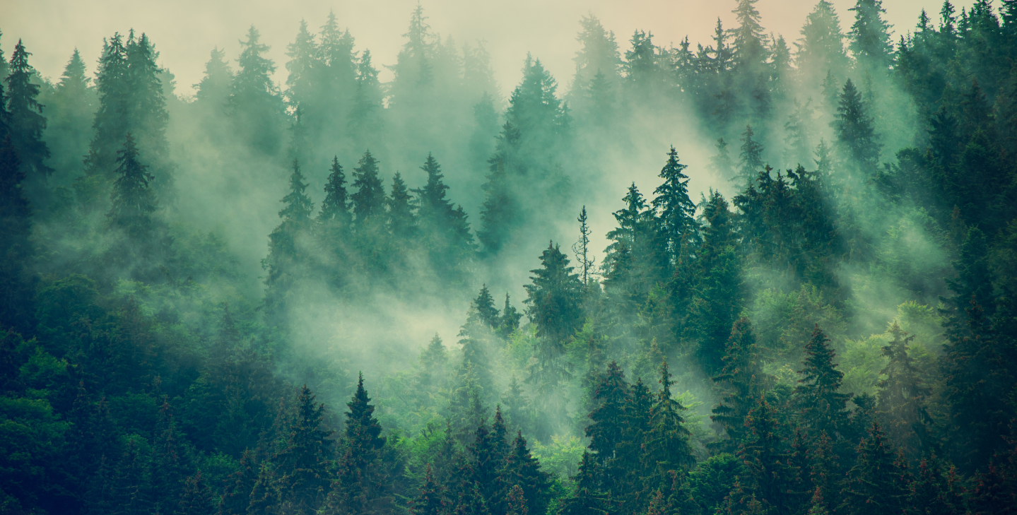 Misty mountains landscape